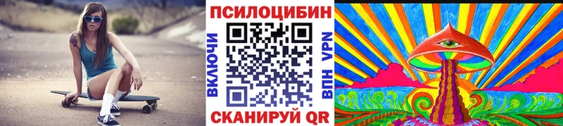 купить наркотик Ряжск Псилоцибиновые грибы Psilocybe